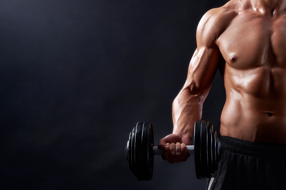 muscle mass healthy aging
